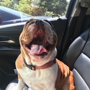 Meet your Posher, Emily